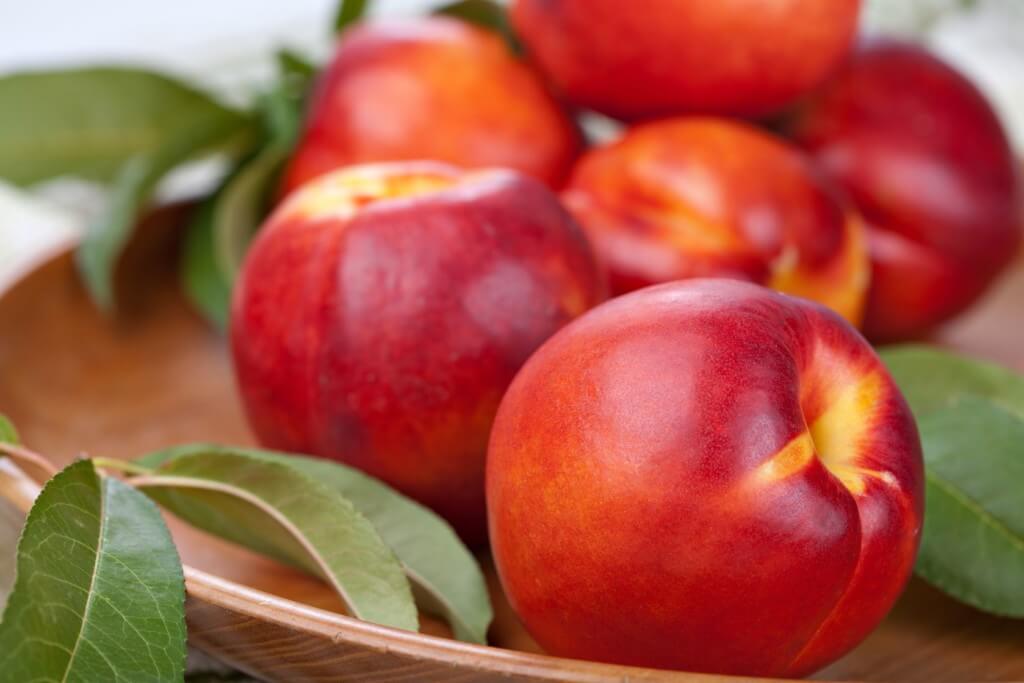 Nectarine Trees Louie's Nursery & Garden Center Riverside CA